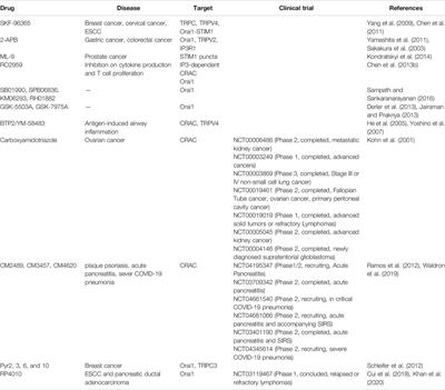 Store-Operated Calcium Channels as Drug Target in Gastroesophageal Cancers